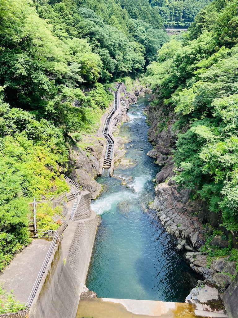 f:id:pikoan:20240712152416j:image f:id:pikoan:20240712152416j:image