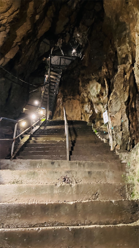 f:id:pikoan:20240712152710j:image