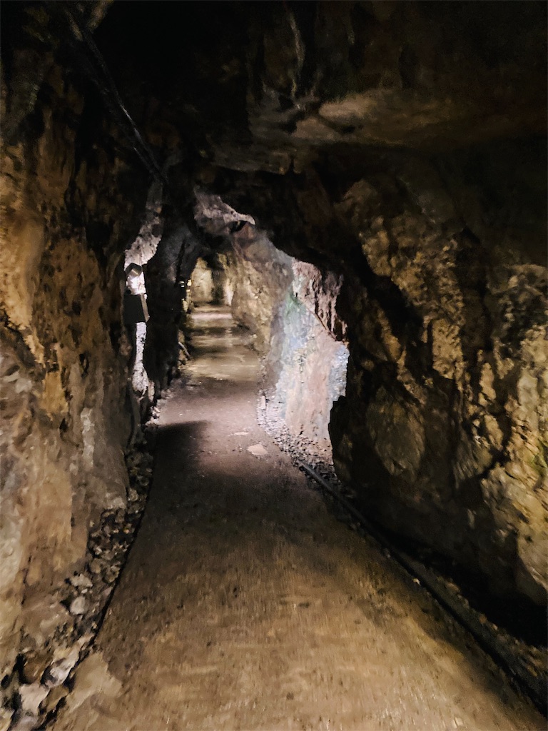 f:id:pikoan:20240712152724j:image