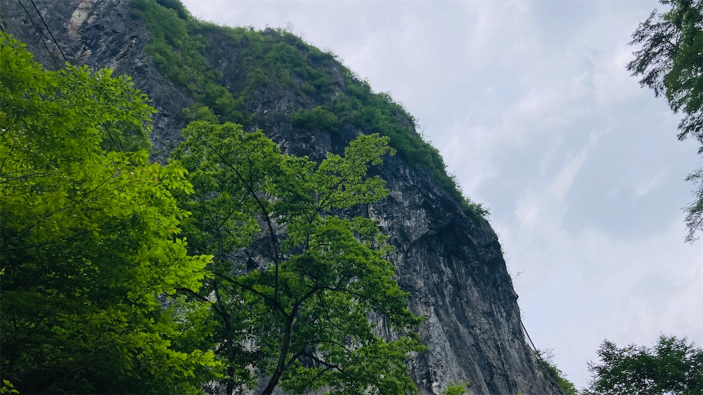 f:id:pikoan:20240712152735j:image