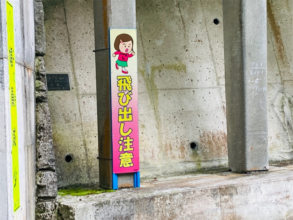 f:id:pikoan:20240712152744j:image