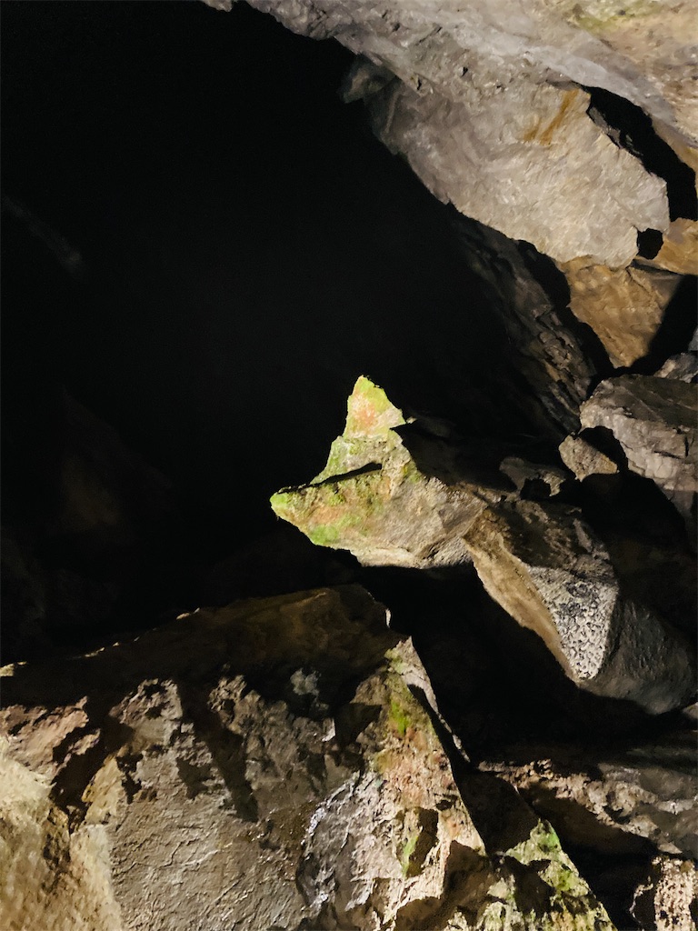 f:id:pikoan:20240712152818j:image