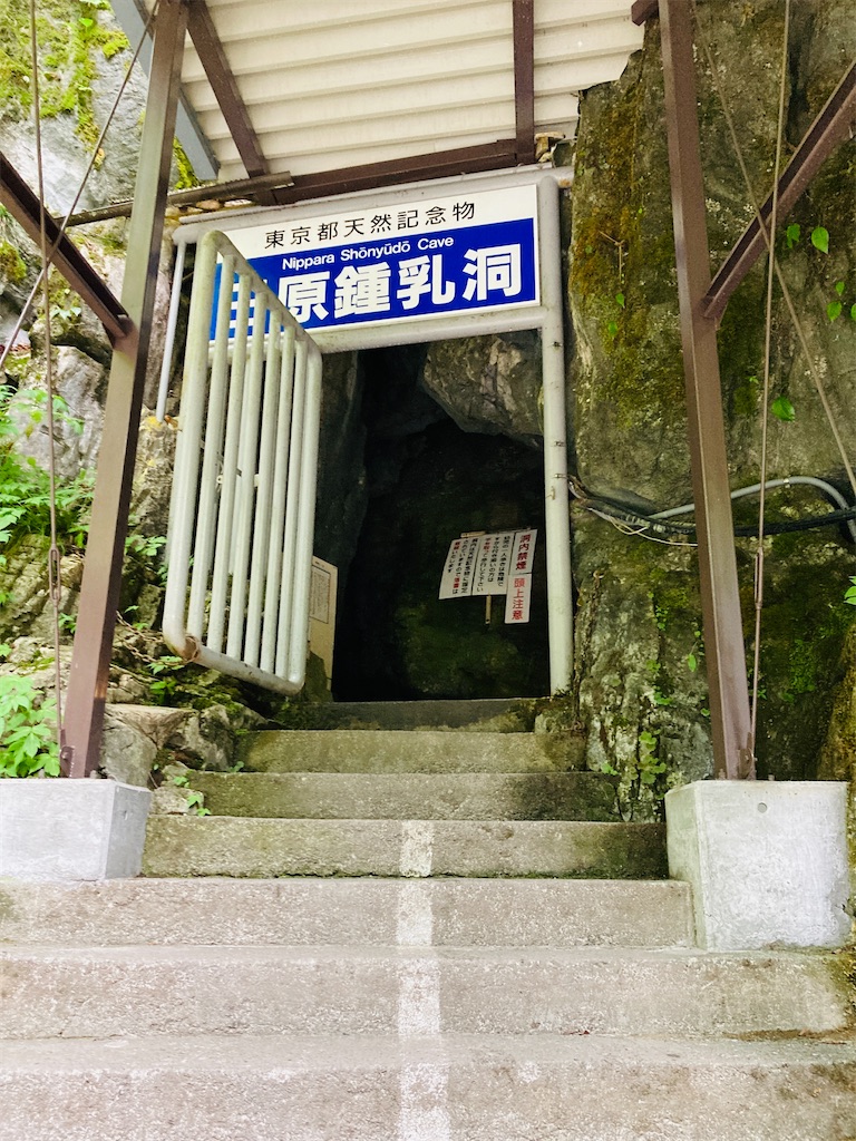 f:id:pikoan:20240712152825j:image