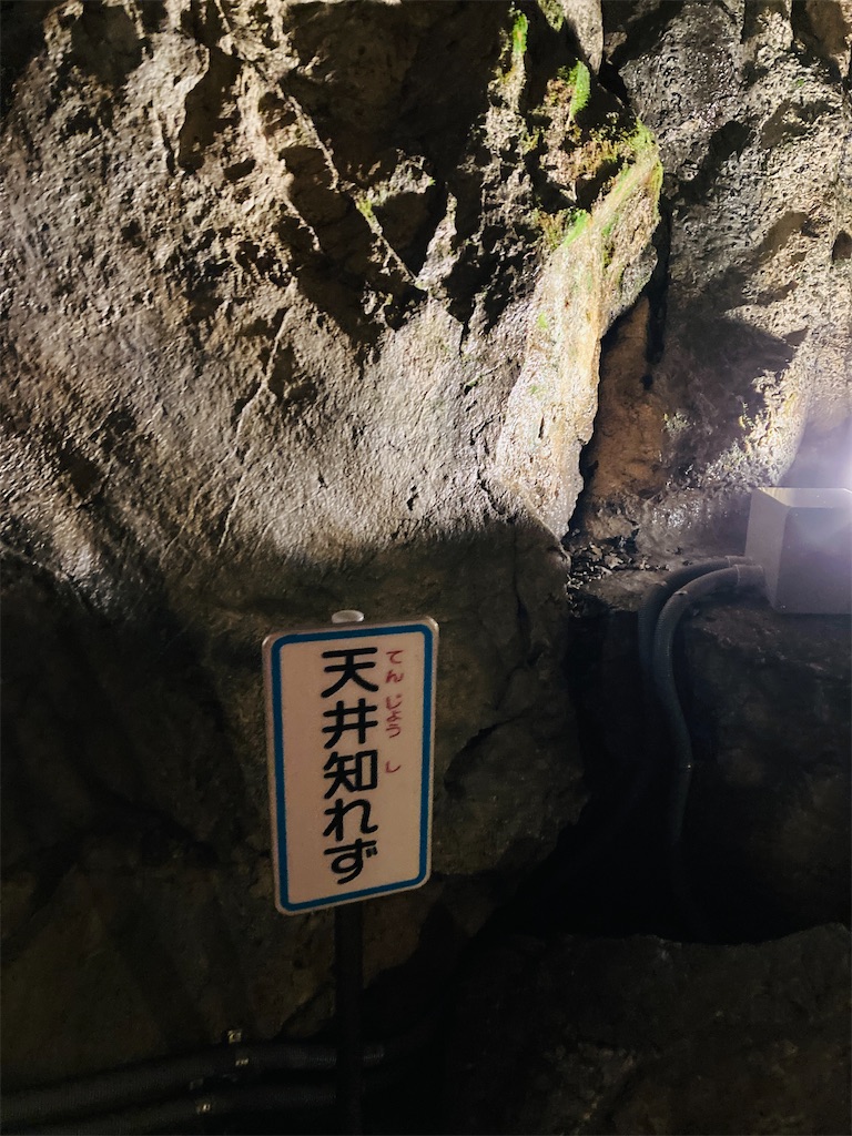 f:id:pikoan:20240712152848j:image