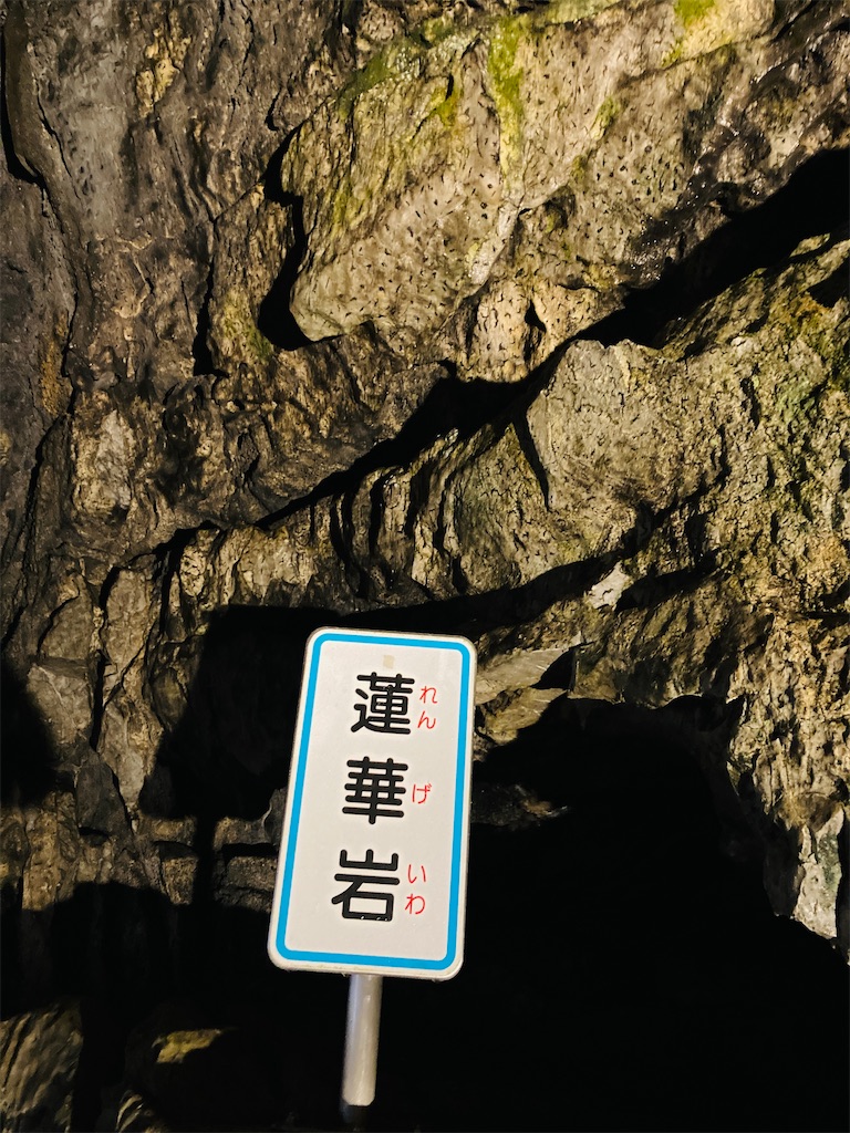 f:id:pikoan:20240712152920j:image