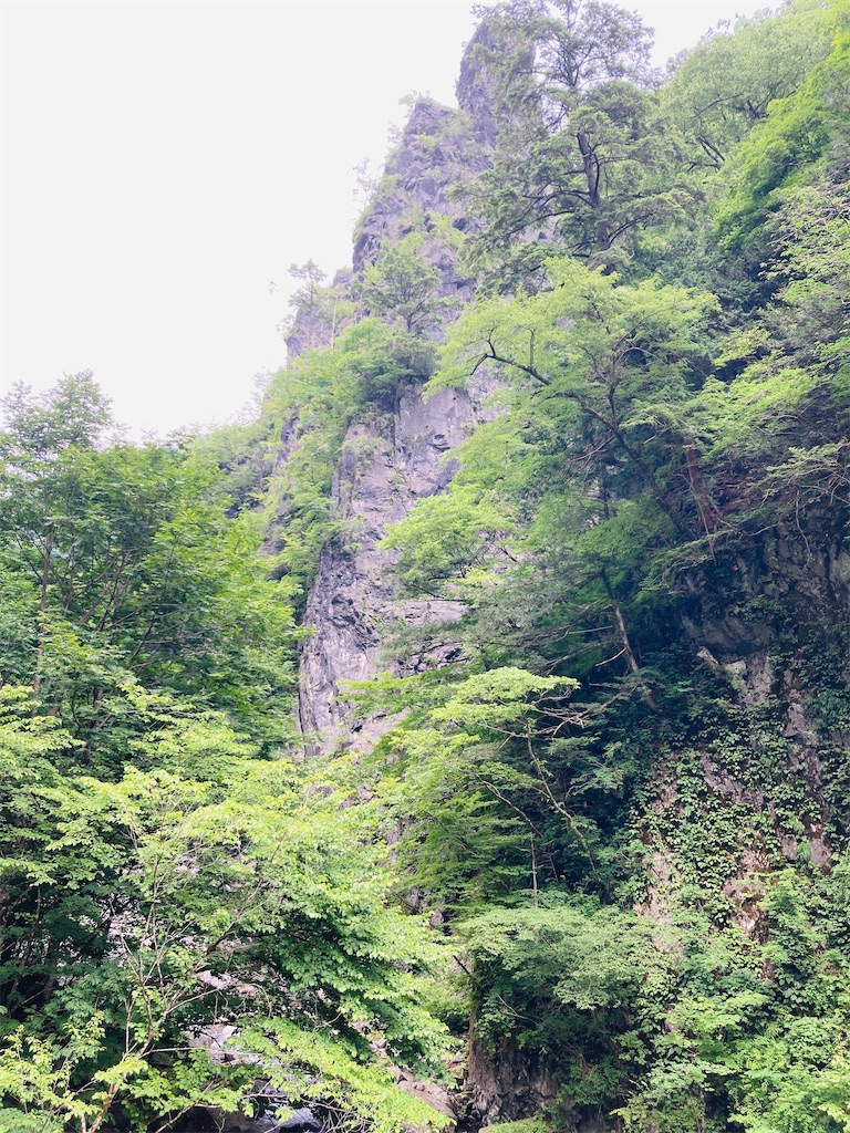 f:id:pikoan:20240712152931j:image