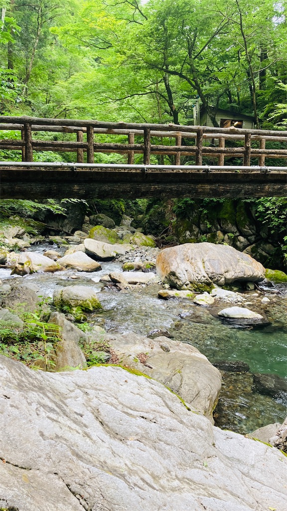 f:id:pikoan:20240712152951j:image