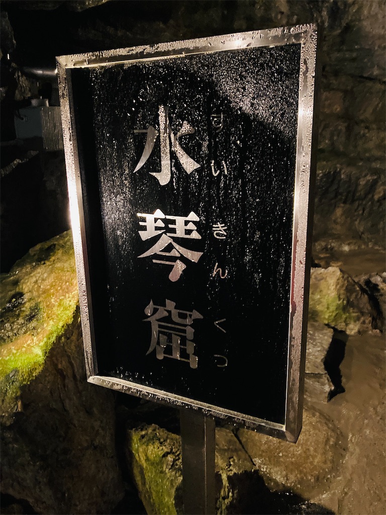 f:id:pikoan:20240712153013j:image