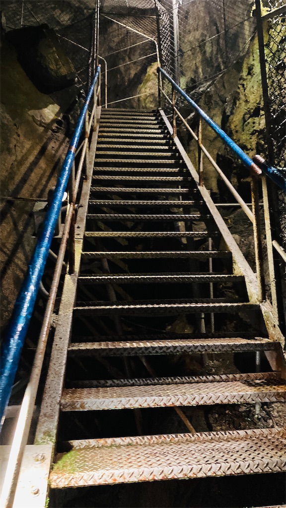 f:id:pikoan:20240712153022j:image