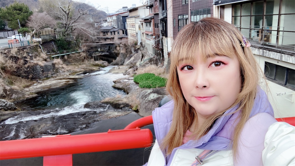 f:id:pikoan:20241214172449j:image