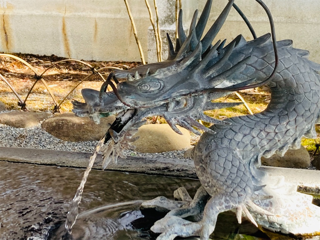 f:id:pikoan:20241214172702j:image