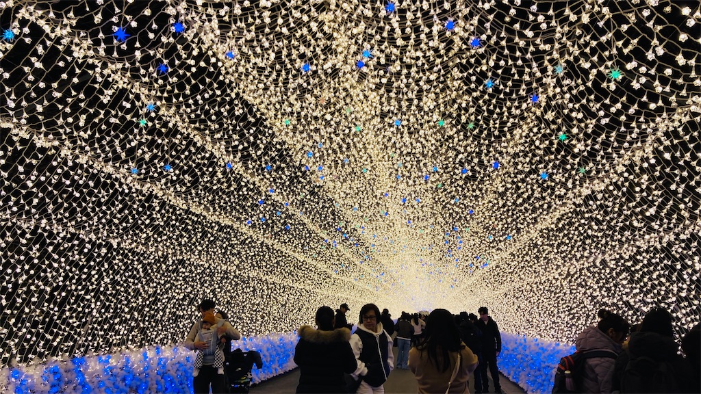 f:id:pikoan:20241221225325j:image