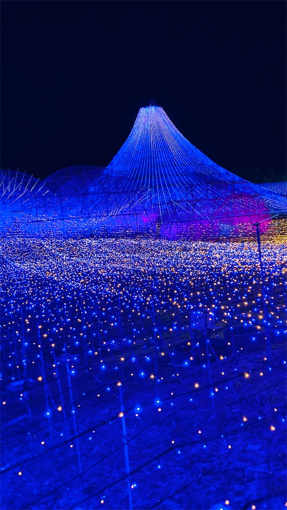 f:id:pikoan:20241221225329j:image