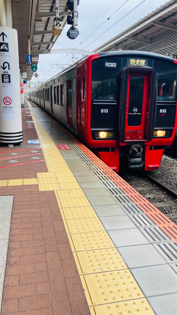 f:id:pikoan:20250209195345j:image