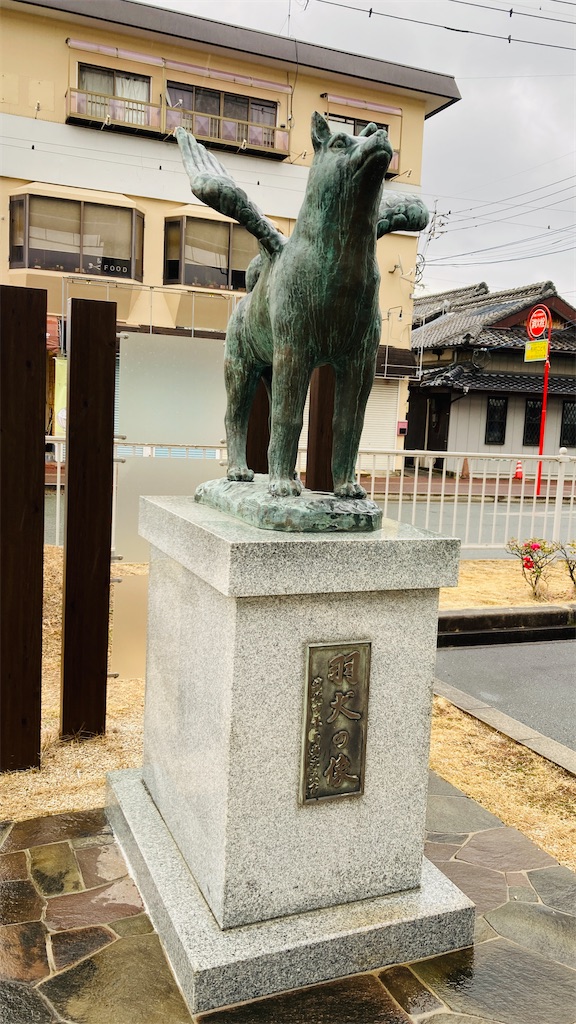 f:id:pikoan:20250209195414j:image