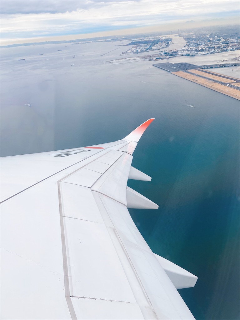 f:id:pikoan:20250209195429j:image