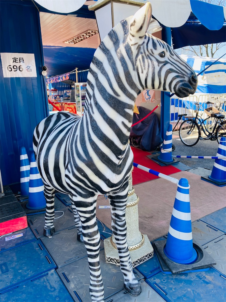 f:id:pikoan:20250218234156j:image