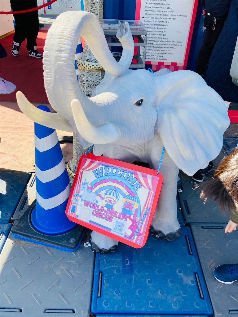 f:id:pikoan:20250218234204j:image