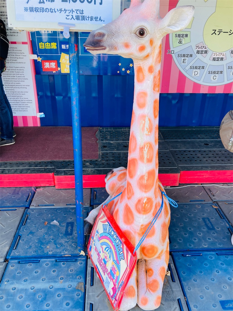 f:id:pikoan:20250218234221j:image