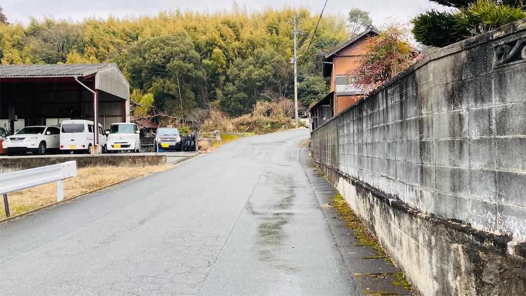 f:id:pikoan:20250219105322j:image