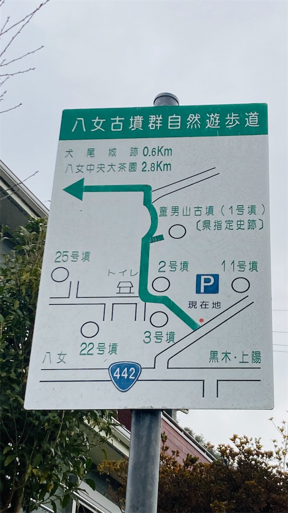 f:id:pikoan:20250219105349j:image