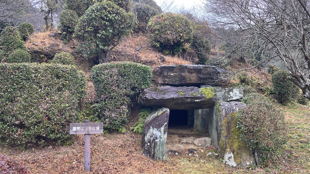 f:id:pikoan:20250219105613j:image