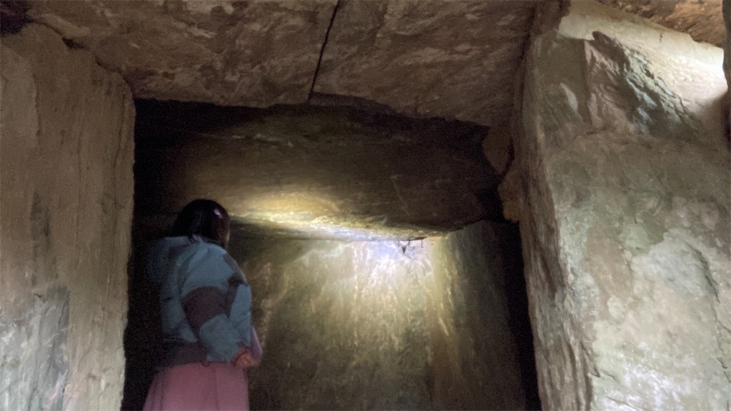 f:id:pikoan:20250219105619j:image