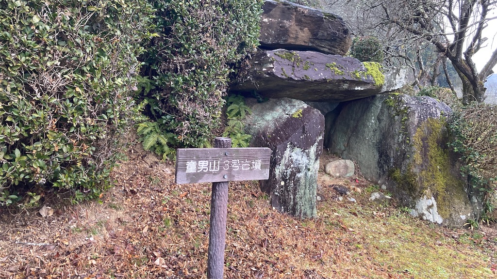 f:id:pikoan:20250219105622j:image