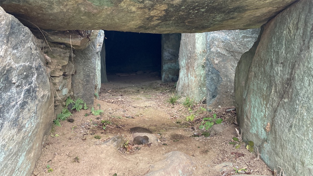 f:id:pikoan:20250219105633j:image