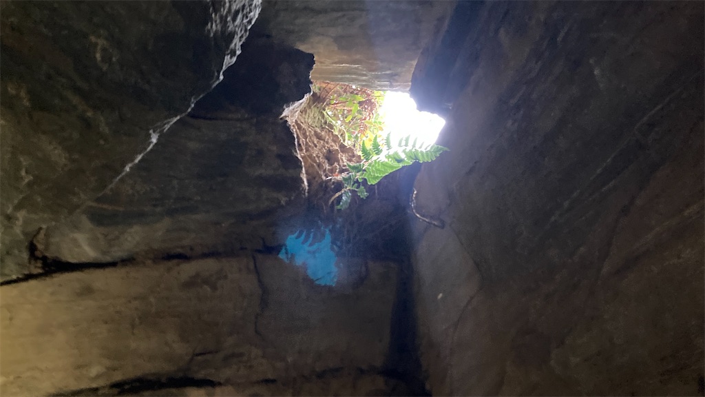 f:id:pikoan:20250219105637j:image