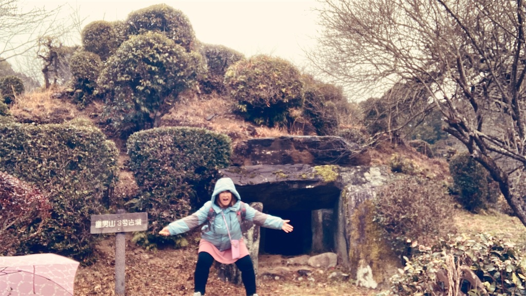 f:id:pikoan:20250219105640j:image