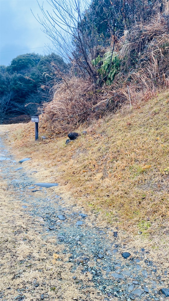 f:id:pikoan:20250219105643j:image