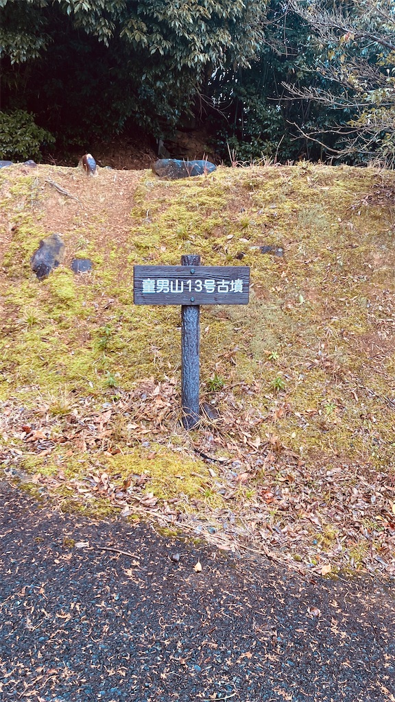 f:id:pikoan:20250219105653j:image