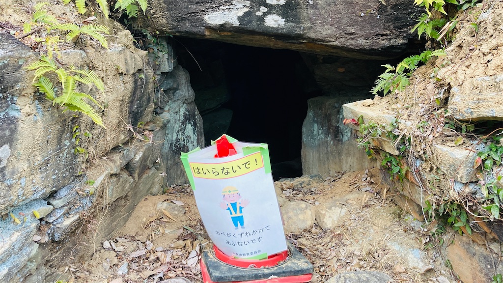 f:id:pikoan:20250219105836j:image