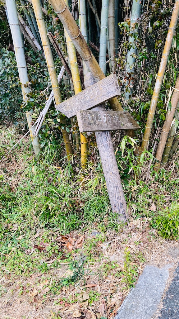 f:id:pikoan:20250219110245j:image