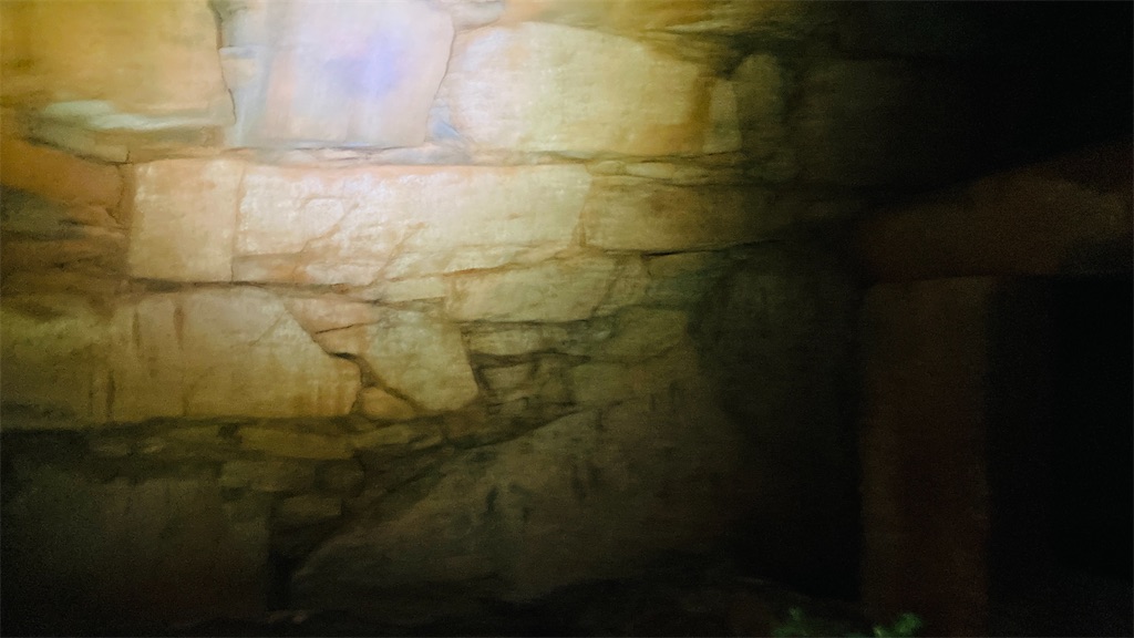 f:id:pikoan:20250219110248j:image