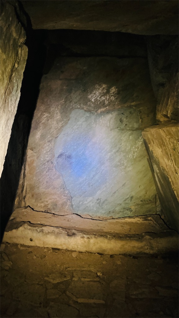 f:id:pikoan:20250219110251j:image