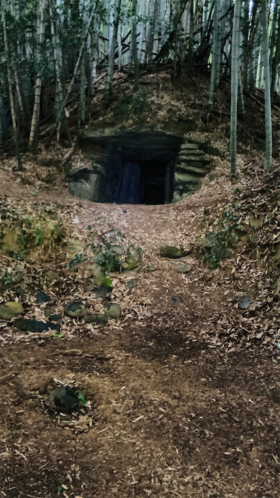 f:id:pikoan:20250219110254j:image