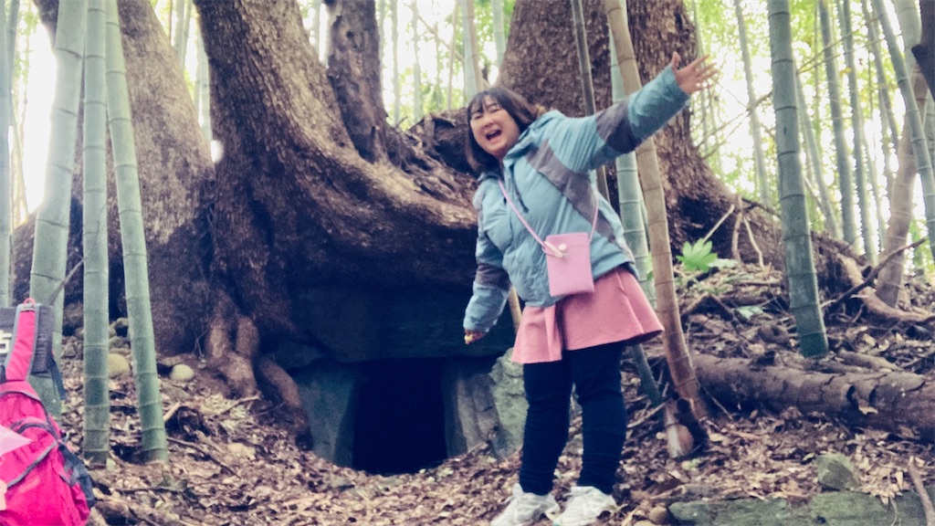 f:id:pikoan:20250219110258j:image