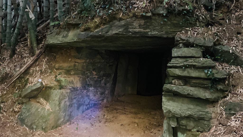 f:id:pikoan:20250219110300j:image