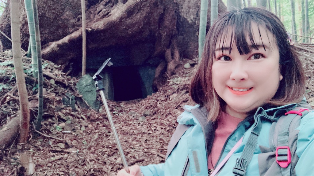 f:id:pikoan:20250219110306j:image