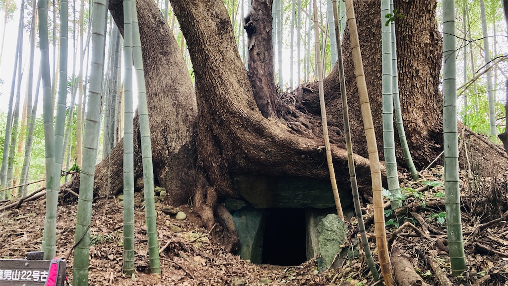 f:id:pikoan:20250219110310j:image