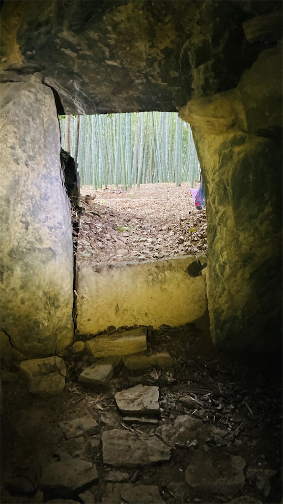 f:id:pikoan:20250219110327j:image