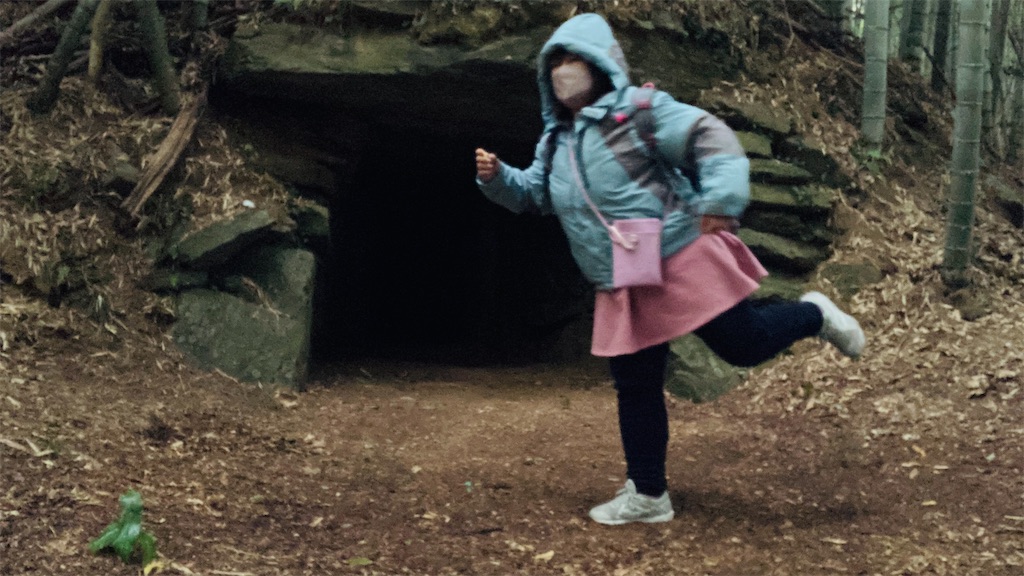 f:id:pikoan:20250219110334j:image