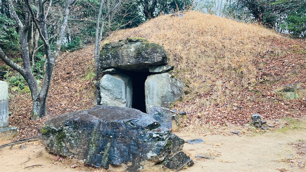 f:id:pikoan:20250219110341j:image