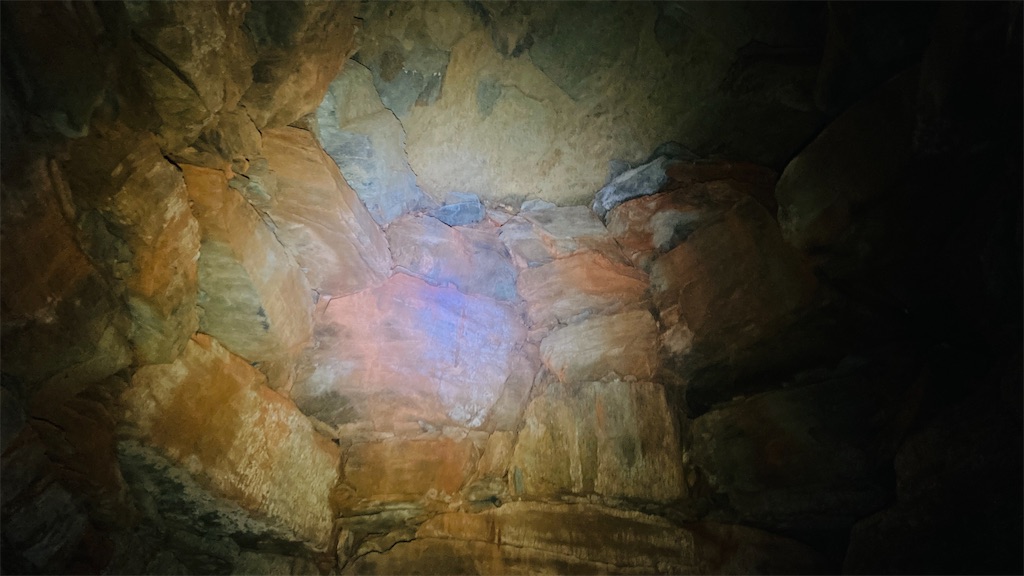 f:id:pikoan:20250219110358j:image