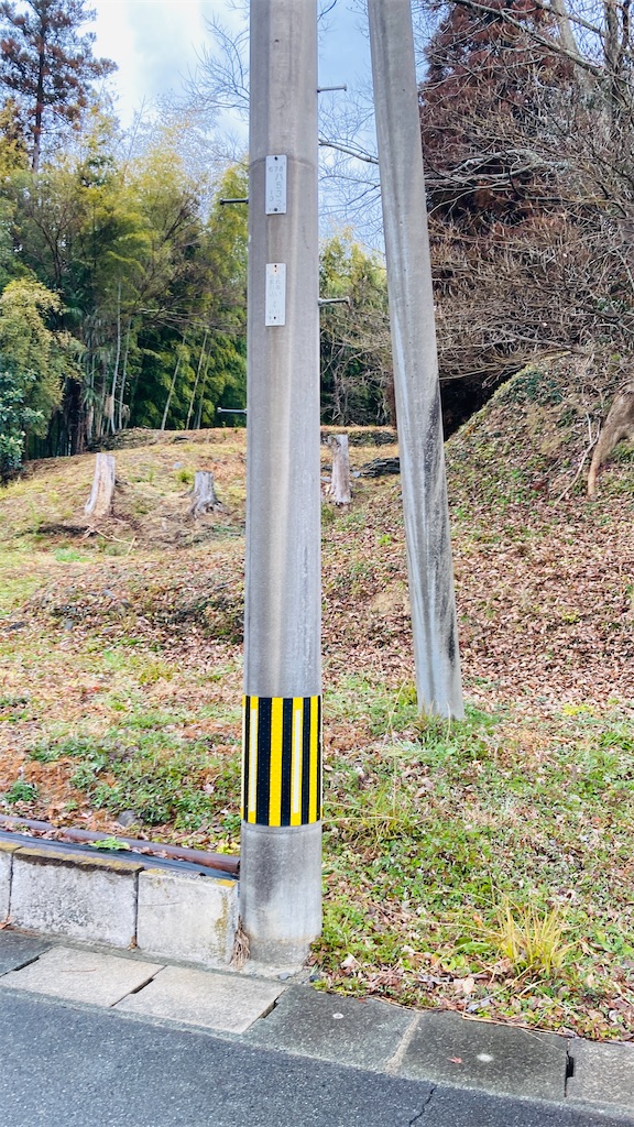 f:id:pikoan:20250219110422j:image