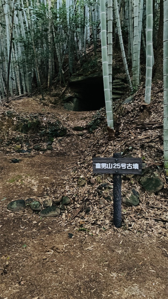 f:id:pikoan:20250219110425j:image