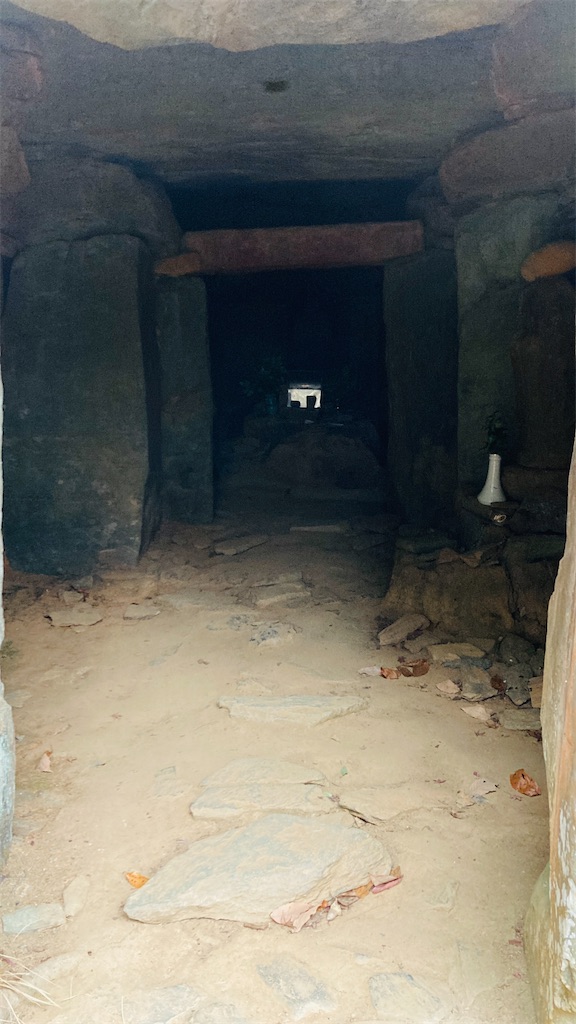 f:id:pikoan:20250219110431j:image