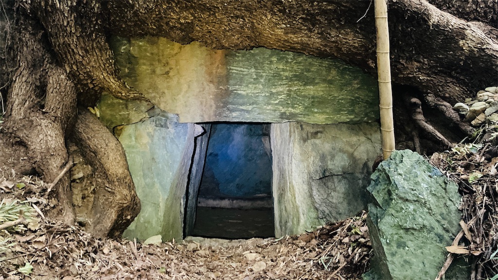 f:id:pikoan:20250219110434j:image